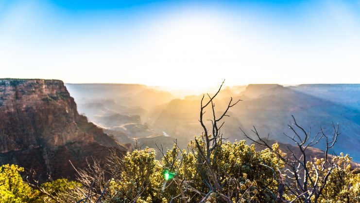 Grand canyon