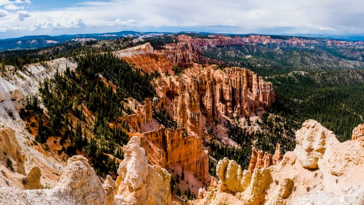 Bryce